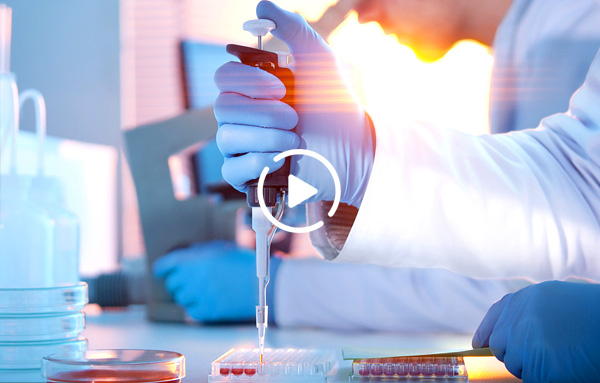 植物提取物研發(fā)和生產農業